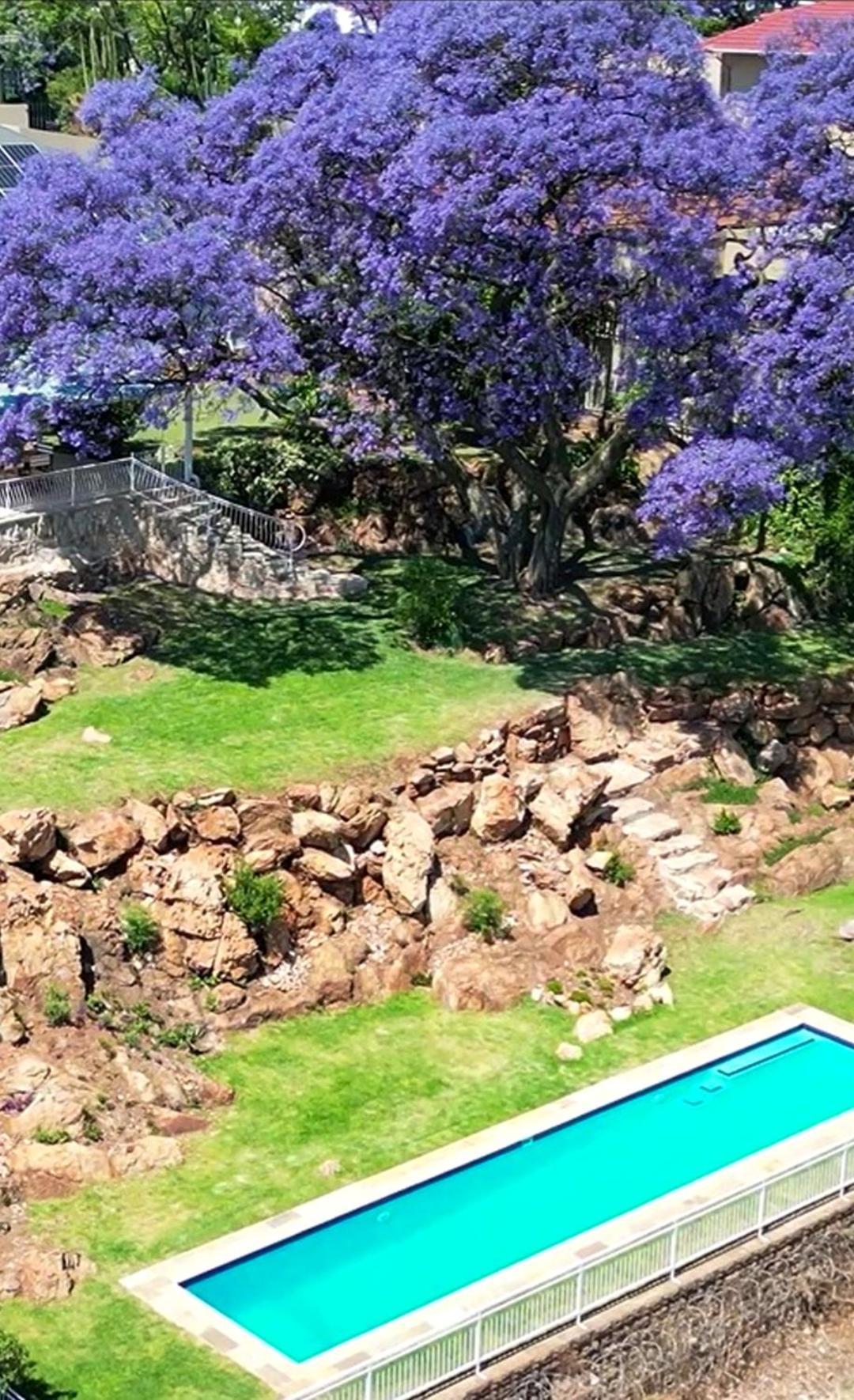 Fishbird Art Deco Villa Johannesburg Zewnętrze zdjęcie